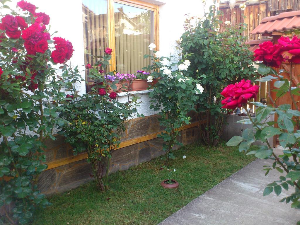 Guest House Stoletnika Ягодина Экстерьер фото